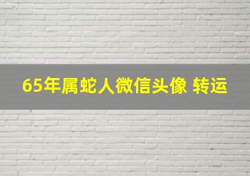 65年属蛇人微信头像 转运